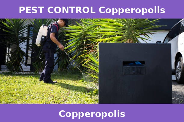 PEST CONTROL Copperopolis